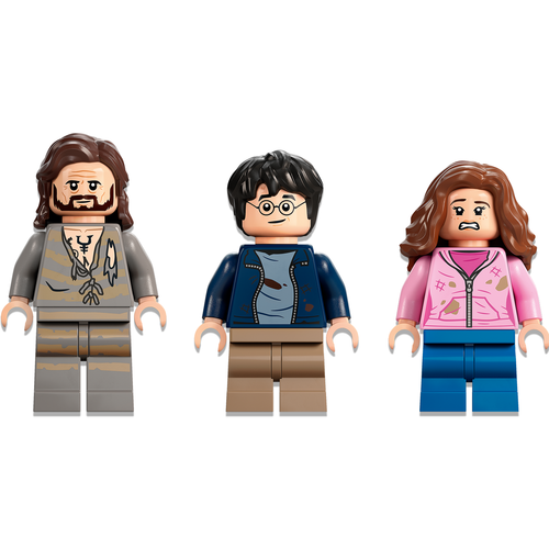 LEGO Harry Potter 76401 Zweinstein Binnenplaats: Sirius’ redding