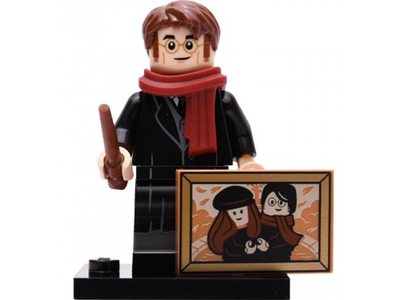 LEGO Minifiguren 71028-08 James Potter