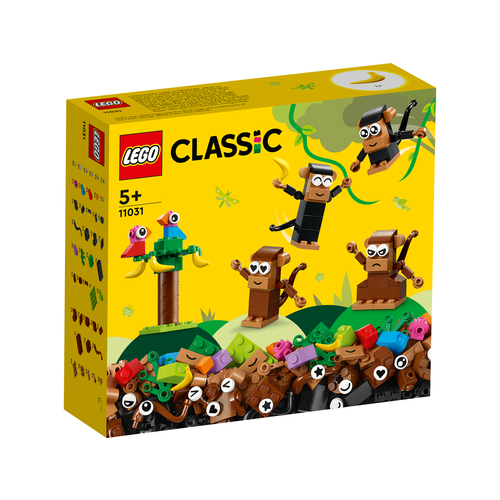 LEGO Classic 11031 Creatief spelen met apen