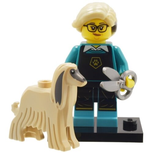 LEGO Minifiguren 71045-12 Hondentrimster