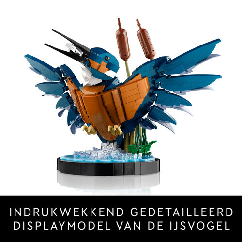 LEGO Icons 10331 IJsvogel