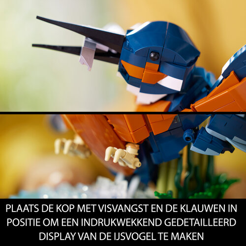 LEGO Icons 10331 IJsvogel