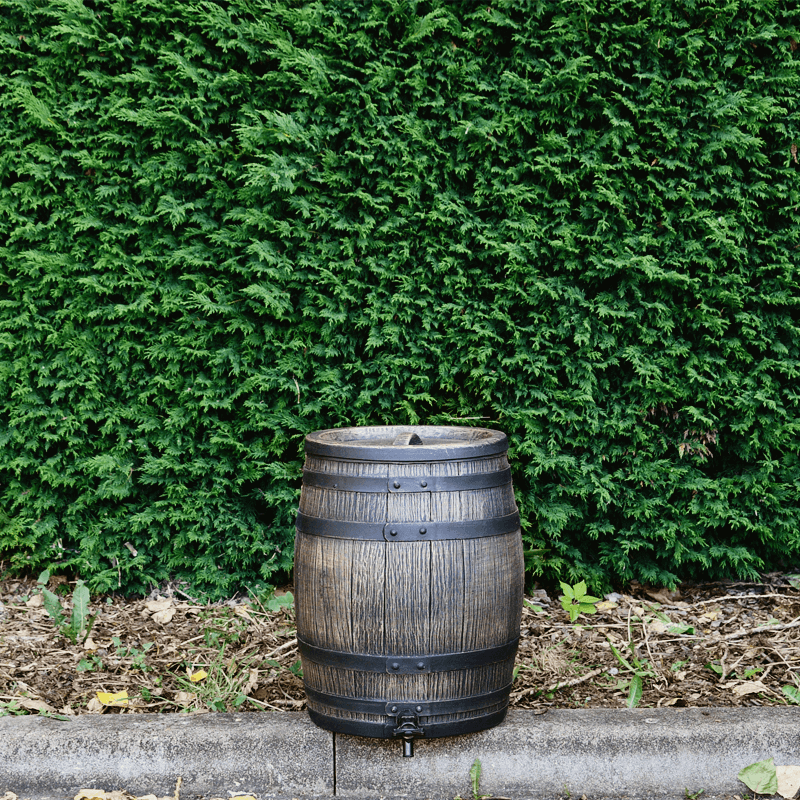 Roto Regenton Roto 50 liter + voet