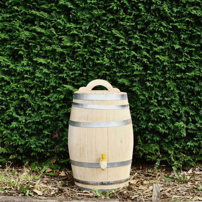 Meuwissen Agro Houten Regenton - 50 Liter Kastanje + Kraan / Handvat