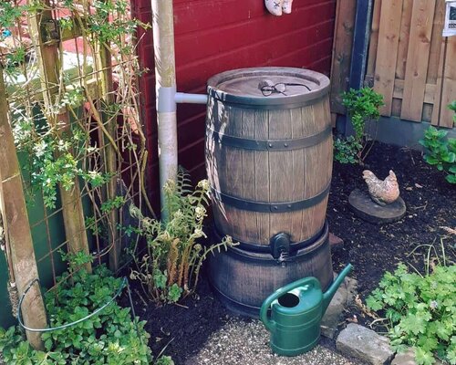 Waarom heel Nederland een regenton plaatst (en misschien jij ook)