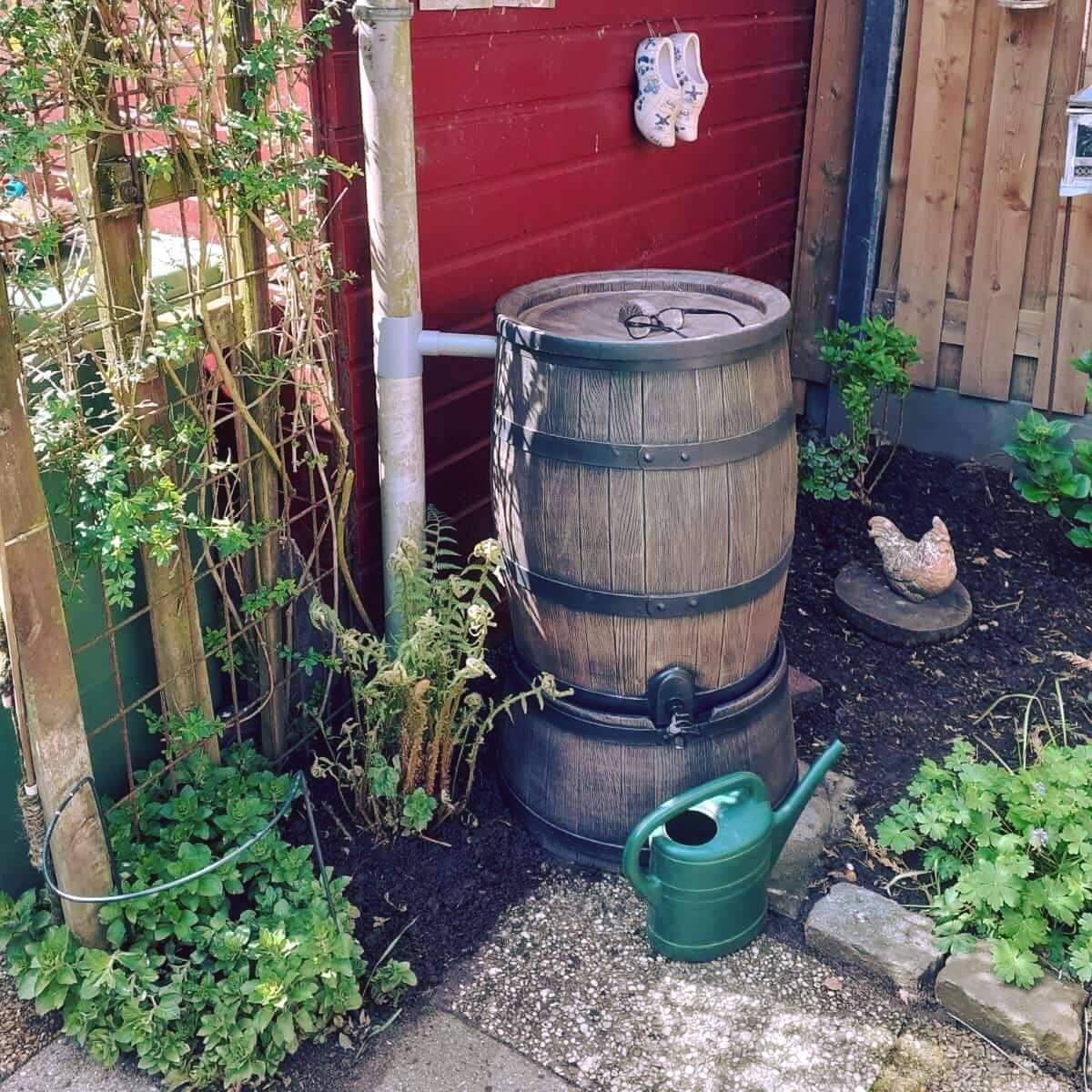 Waarom heel Nederland een regenton plaatst (en misschien jij ook)