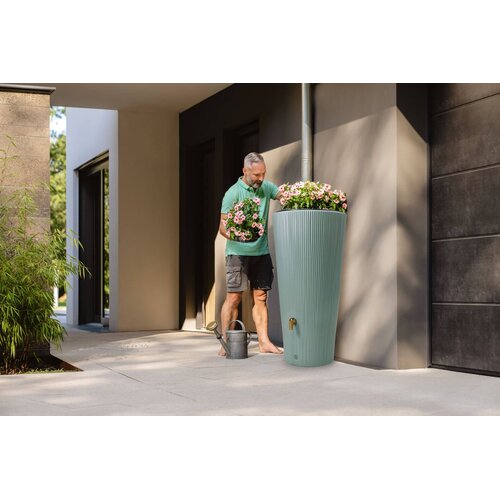 Garantia Regenton Vaso Decor - Agave - 220 Liter