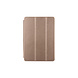 Apple Gold Book Case Tablet for iPad Air 3 Apple Gold Book Case Tablet for iPad Air 3