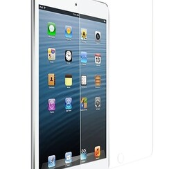 Sreenprotectors/ I pad mini 4 Transparant