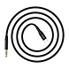 UNIQ Accessory UNIQ Accessory Jack 3,5 mm to Typ-C Adapter - Schwarz UNIQ Accessory UNIQ Accessory Jack 3,5 mm to Typ-C Adapter - Schwarz