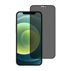 box of 10 - UNIQ Accessory iPhone 12 Protecteur D'écran - Privacy Glass - Noir
