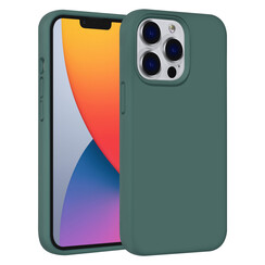 UNIQ Accessory iPhone 13 Pro Premium TPU Backcover - Green