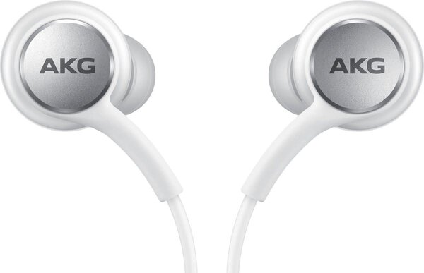 Samsung Samsung AKG EO-IC100BWEGEU Type-C Earphones - Blister - Wit