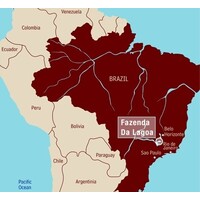 Brasilien Fazenda da Lagoa Estate (1)