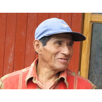 Tropical Mountain Bio Espresso (5)