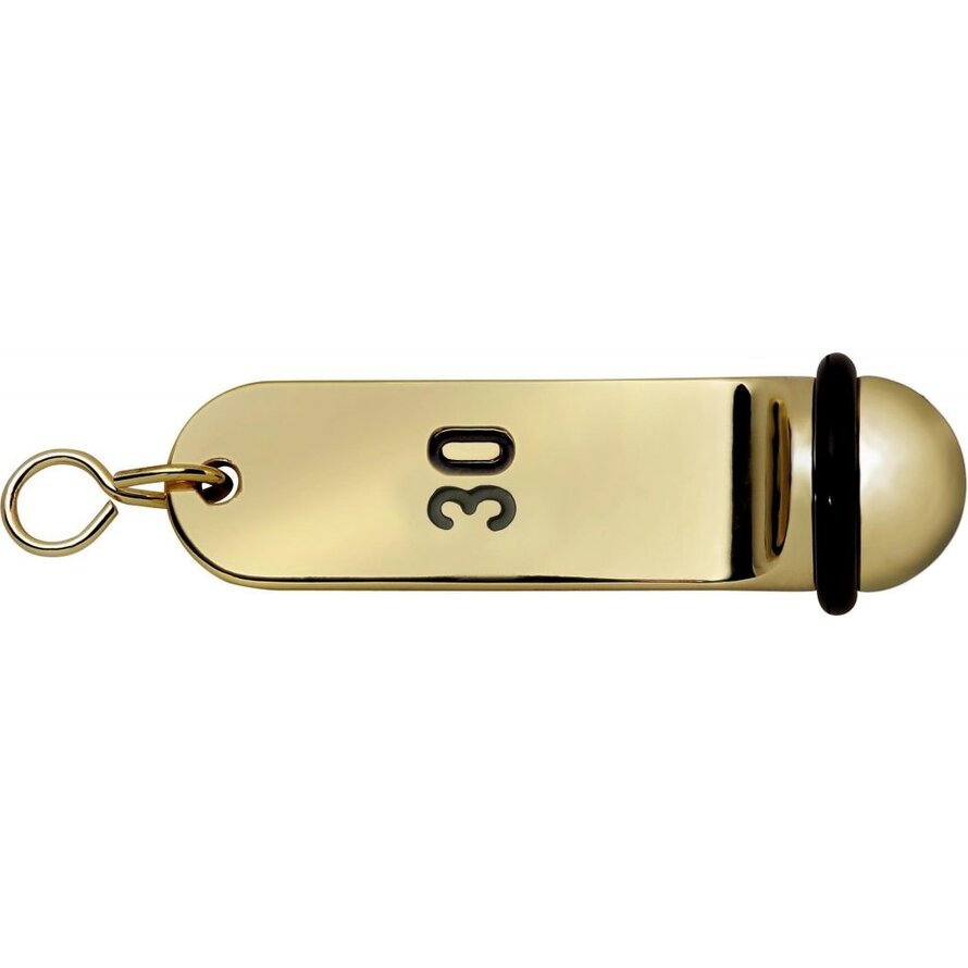 Schlüsselanhänger gold nummeriert Nr. 30