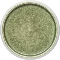 FiveStars Porzellan Serie "Samoa" grün Teller flach Ø19cm (1)