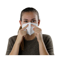 FFP2 Atemschutzmaske 5er Pack (2)