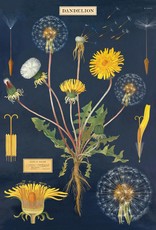 VINTAGE POSTER - Paardenbloem (50x70cm)