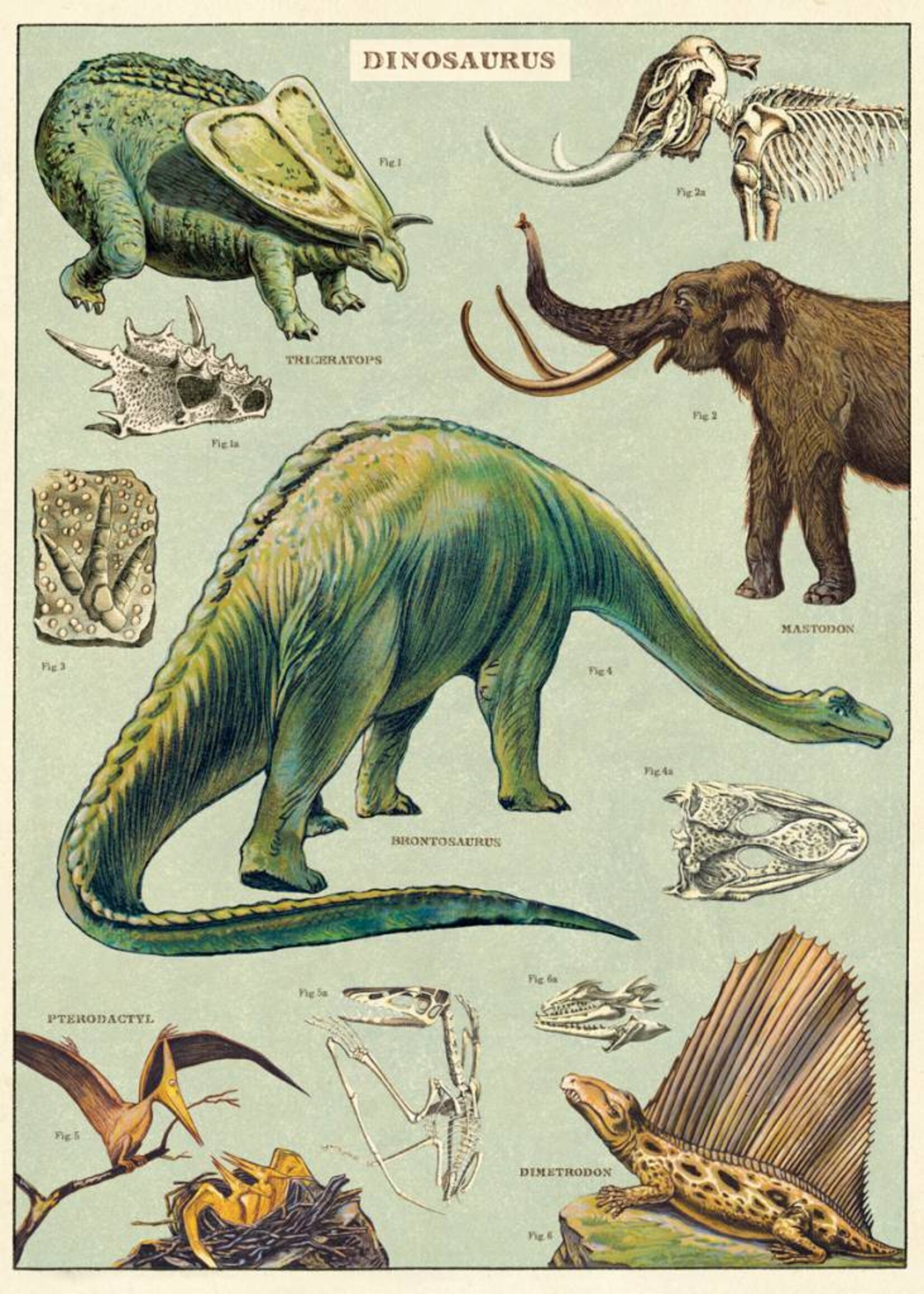 VINTAGE POSTER - Dinosaurs(50x70cm)