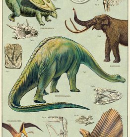 AFFICHE VINTAGE - Dinosaures (50x70cm)