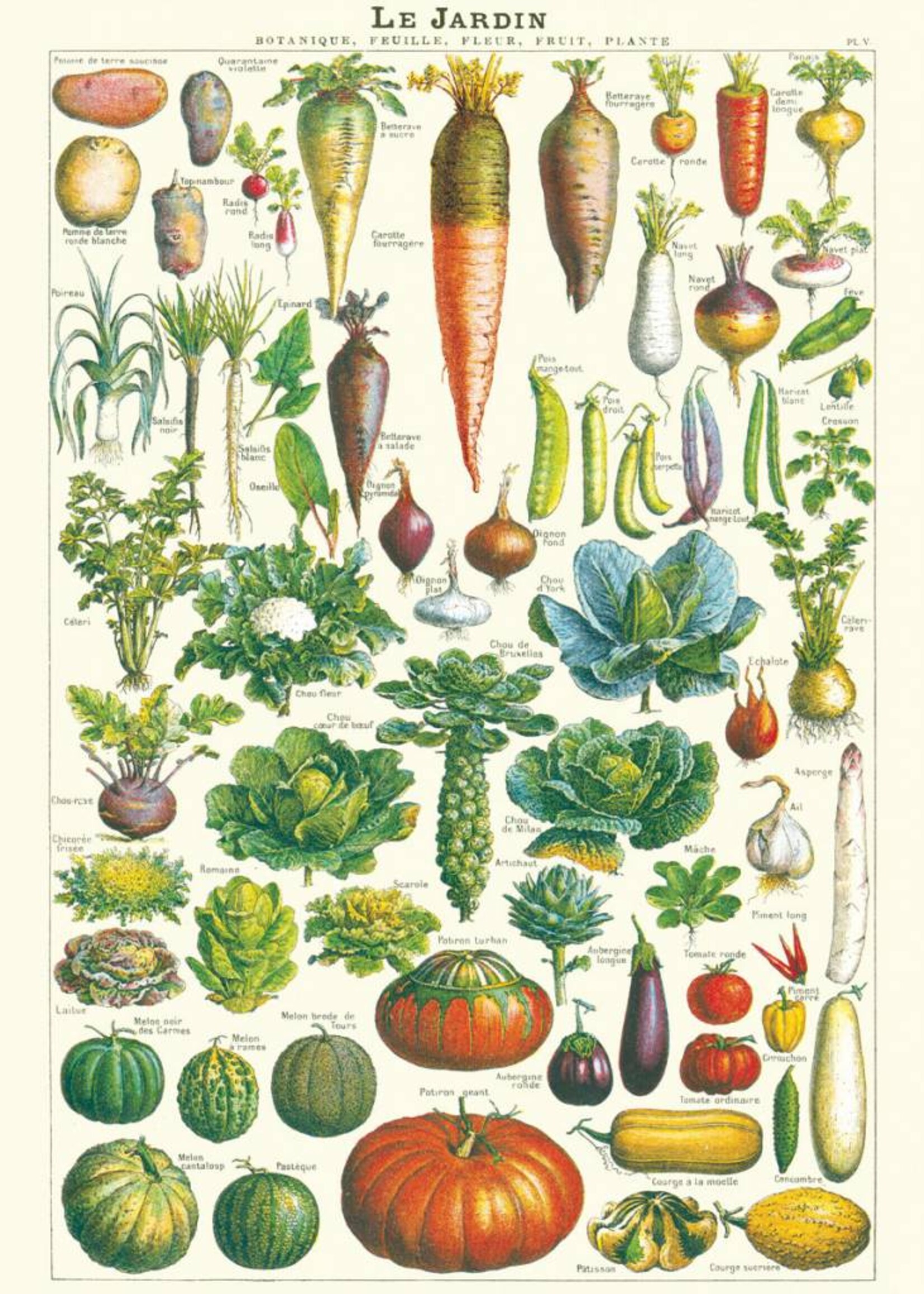 AFFICHE VINTAGE - Le Jardin (50x70cm)
