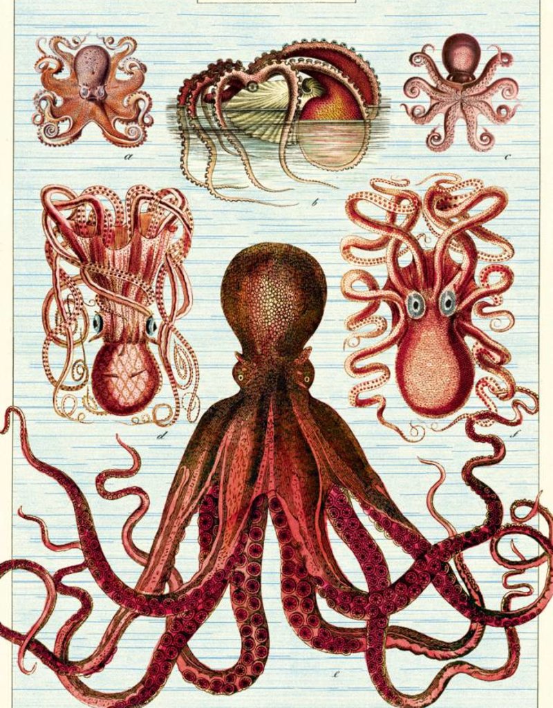 VINTAGE POSTER - Octopods (50x70cm)