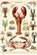 VINTAGE POSTER - Crustaceans (50x70cm)