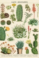 VINTAGE POSTER - Cacti & Succulents (50x70cm)