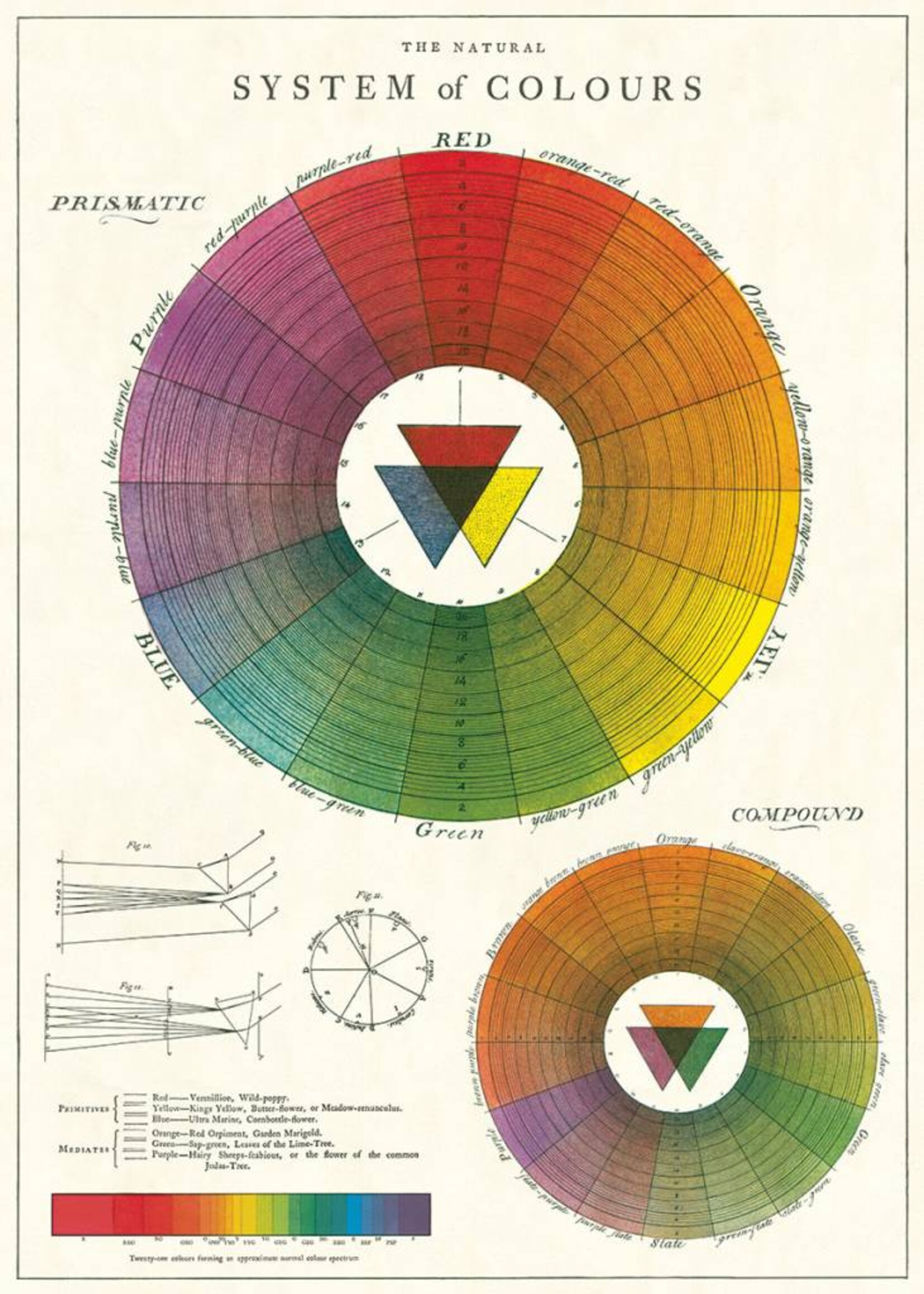 AFFICHE VINTAGE - Palette de Couleurs (50x70cm)