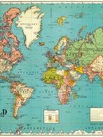 AFFICHE VINTAGE - Carte du Monde No. 4 (70x50cm)