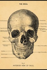 AFFICHE VINTAGE - Le Crâne (50x70cm)