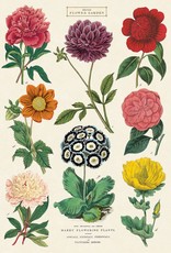 AFFICHE VINTAGE - Botanica No. 2 (50x70cm)