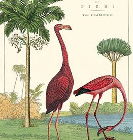 VINTAGE POSTER - Flamingo (50x70cm)