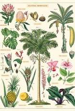 VINTAGE POSTER - Tropical Plants (50x70cm)