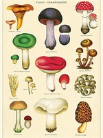 VINTAGE POSTER - Paddestoelen Nr. 2 (50x70cm)
