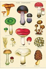 VINTAGE POSTER - Paddestoelen Nr. 2 (50x70cm)