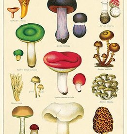 VINTAGE POSTER - Paddestoelen Nr. 2 (50x70cm)