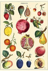 AFFICHE VINTAGE - Fruits No. 2  (50x70cm)