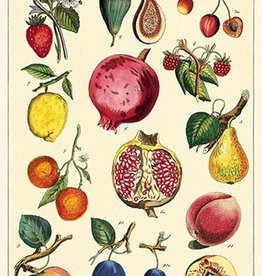 VINTAGE POSTER - Fruits No. 2  (50x70cm)