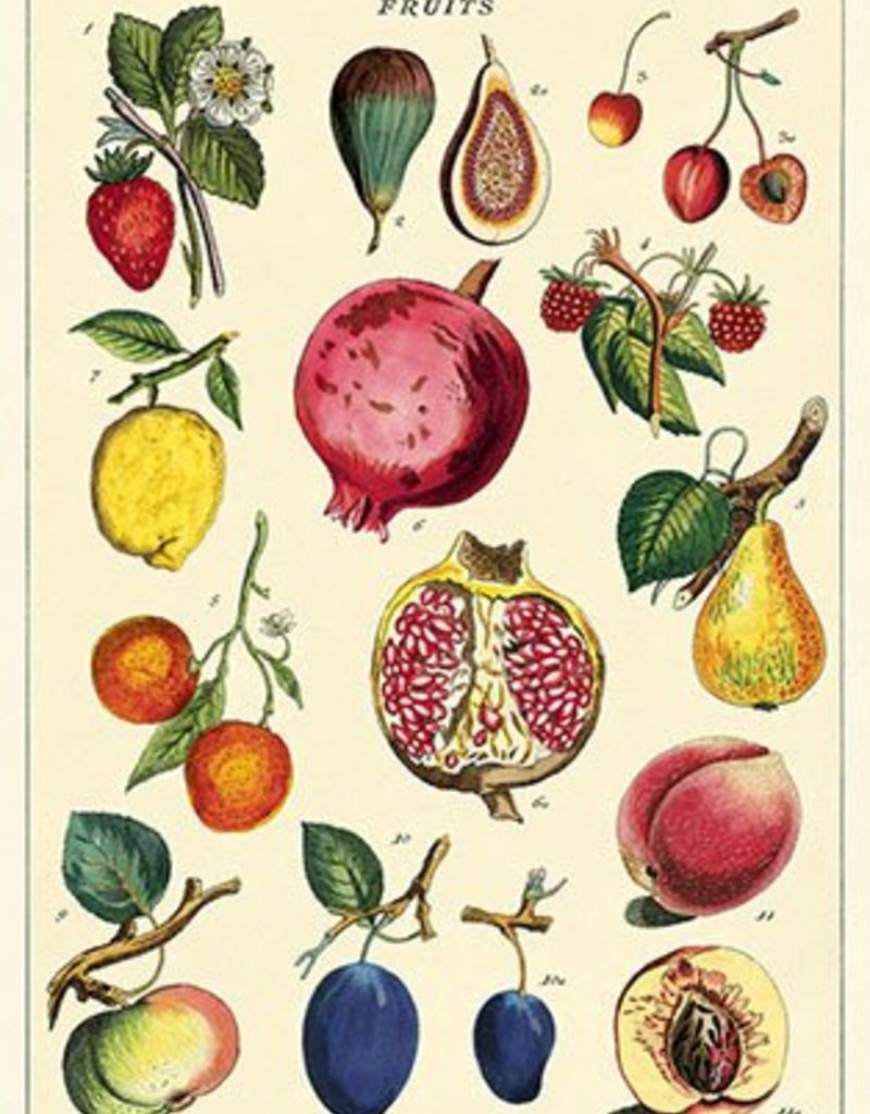 AFFICHE VINTAGE - Fruits No. 2  (50x70cm)