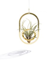 PLANT HOLDER - Air Pendant