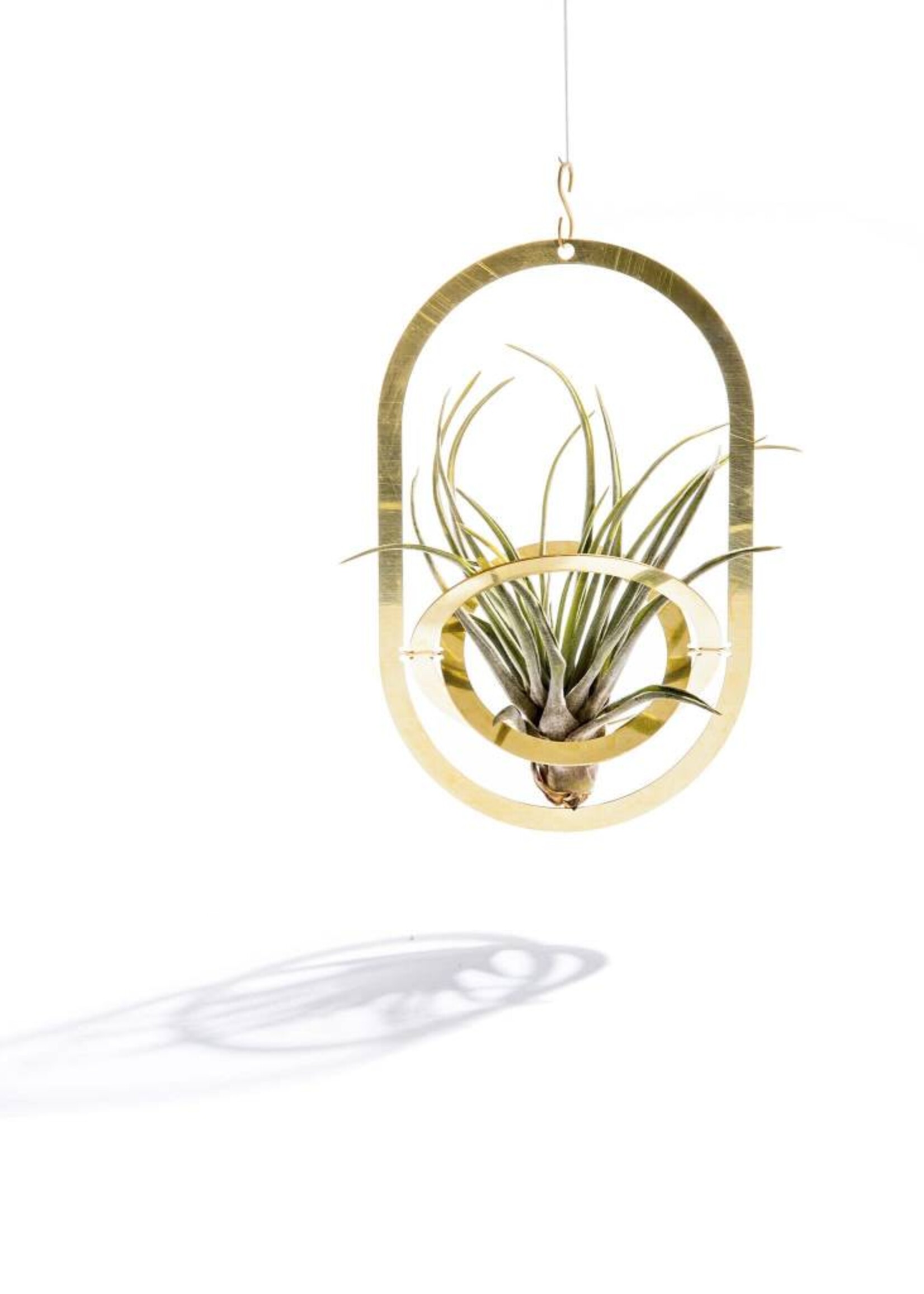 PLANTENHOUDER - Air Pendant
