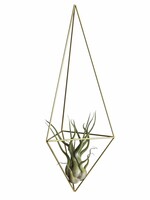 DIY HIMMELI - Delta Medium