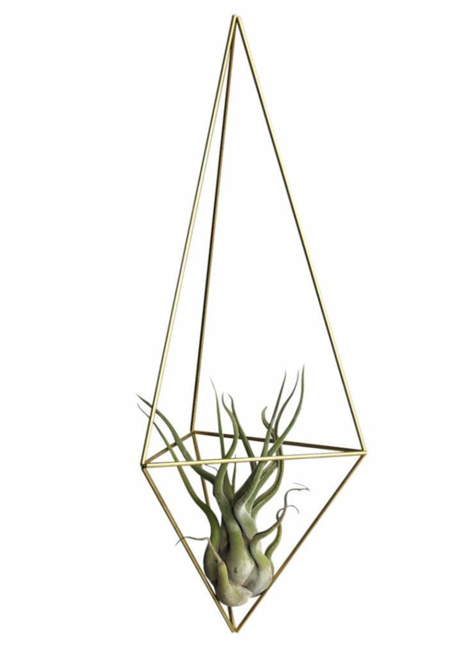 DIY HIMMELI - Delta Medium