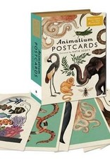 ANIMALIUM POSTCARD BOX