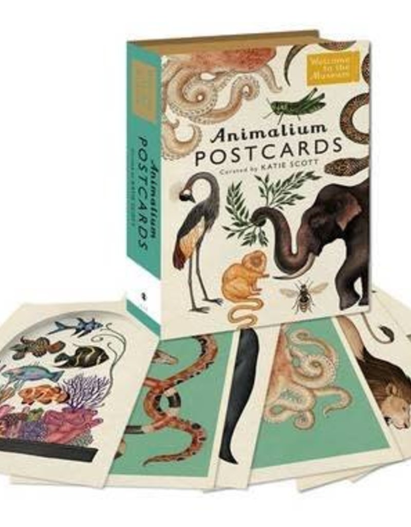 ANIMALIUM POSTCARD BOX