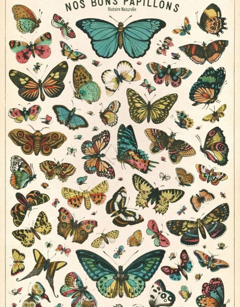 AFFICHE VINTAGE - Histoire Naturelle: Papillons (50x70cm)