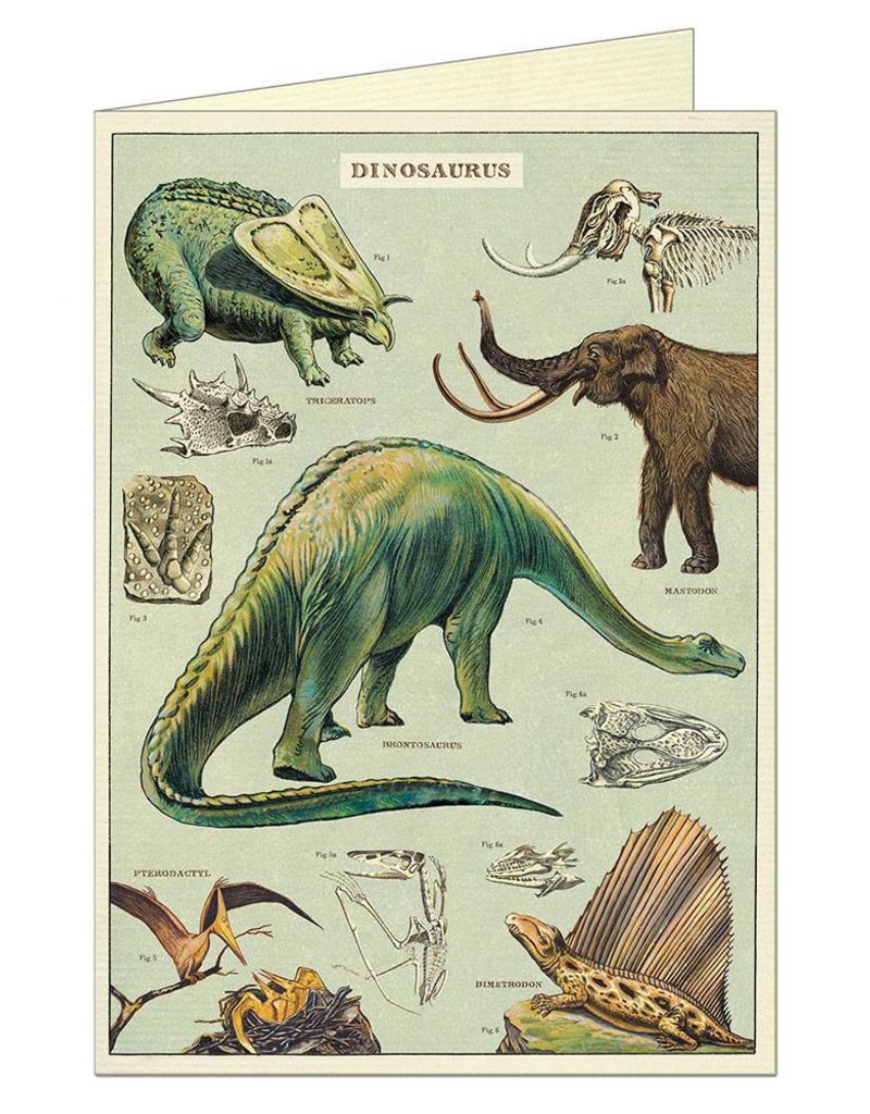 VINTAGE WENSKAART - Dinosaurussen