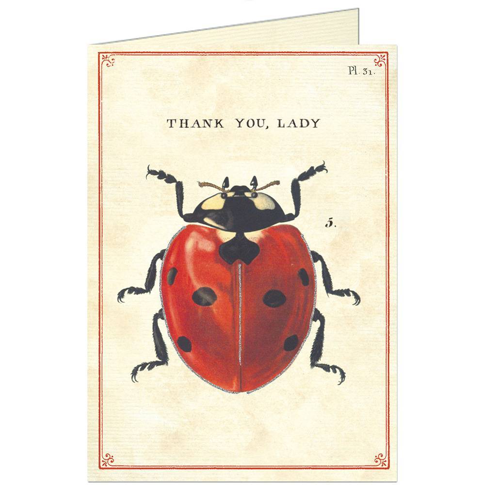 Vintage Greeting Card Thank You Ladybug Animaux Speciaux
